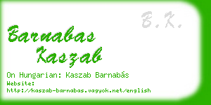 barnabas kaszab business card